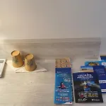 L'alsace Hotel Narbonne