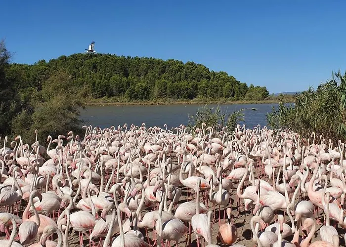 L'alsace-gare Sncf 2* Narbona